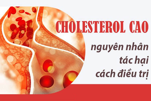 Nguyên nhân khiến colesterol tăng cao