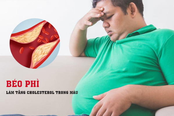 Cholesterol là gì? Nguyên nhân tăng cholesterol trong máu-2