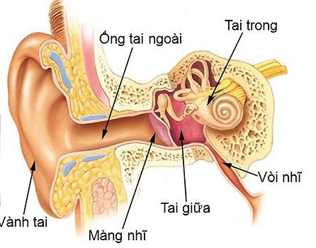 Điều trị bệnh viêm tai giữa